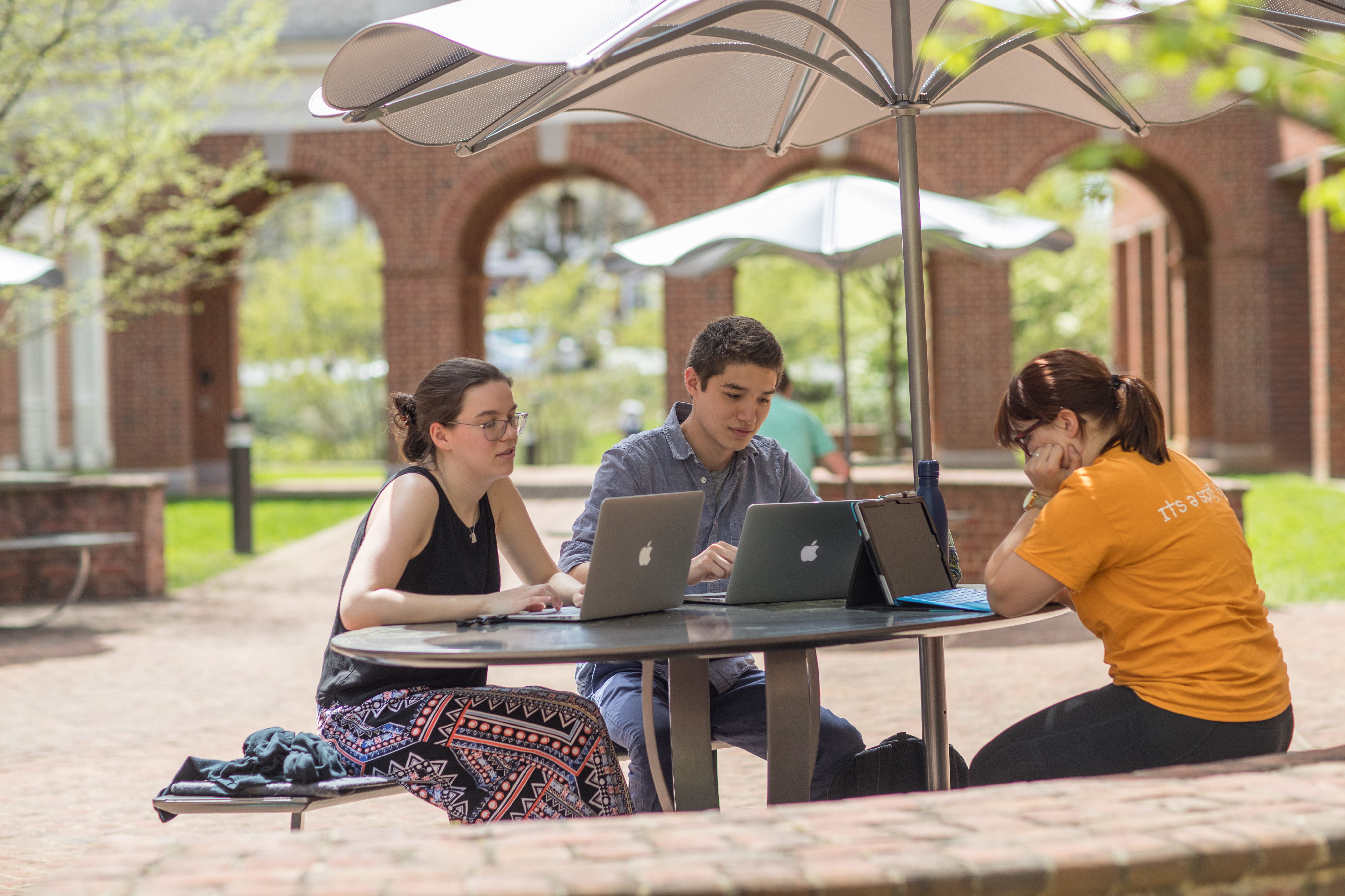 Students studying in courtyard